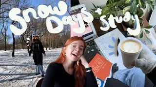 a week of my life in seoul, korea vlog | snow, studying korean, apartment stuff