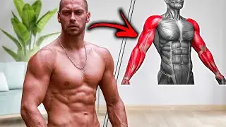 Arms Workout AT HOME - No Equipment Necessary - Do It With Me