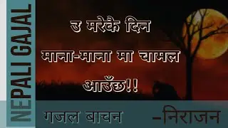 उ मरेकै दिन मानामा चामल आउँछ। Nepali Gazal | Nepali Muktak | Nepali Sahityik rachana| Nirajan Bhusal