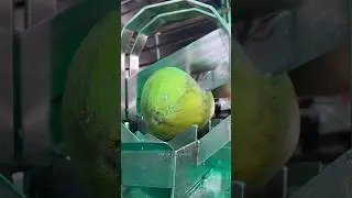 Perfect !!!  Coconut cutting machine - Fruits Cutting Skill