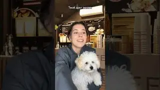 Мне всегда всех жалко😢