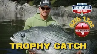 Bassmaster Fishing 2022 Monster Big Striped Bass Trophy Fish 🎣 62lb 13oz 💪