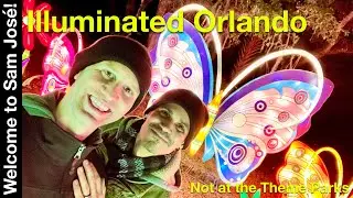Illuminated Orlando: Lighted Holiday Displays Not in the Theme Parks