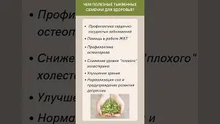 Какая польза от тыквенных семечек для здоровья? 