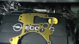 Opel Zafira  Одна из причин попадания масла в ОЖ