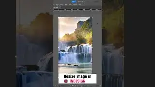 Resize Image in Indesign | #shorts