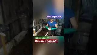 Вопрос ответ #30 про грибы Вешенка