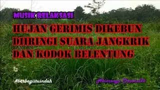 Hujan gerimis di padang rumput, (Rain Sound)