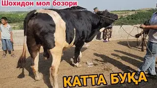 Шохидон мол бозори вообщеку