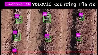 drone counting plants | yolov10 custom object detection, tracking & counting | computer vision