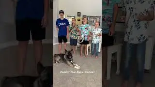 AMAZING A Capella Beach Boys Quartet #shorts