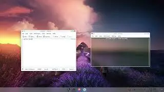 Search for file in Linux terminal