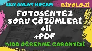 FOTOSENTEZ SORU ÇÖZÜMLERİ 11 // FOTOSENTEZ SORU ÇÖZÜMÜ// 