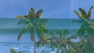 Juan Son - Guitarras del Oceano