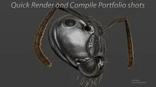 Quick Render and Compile Portfolio Shots