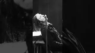 Catfish and the Bottlemen - SEFTON PARK, LIVERPOOL THANK YOU #shorts