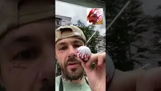 Шукаю пітушка 💀