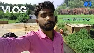 हमारे गांव मे आया 11 जंगली हाथियों का झुंड || Bicky Blogger Babu 🥺 || Village Vlog #elephant