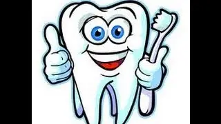 Human Teeth Types -Video for Kids