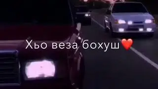 Дятта ло кирар дог🤤🥀