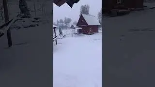 8 мая 2024 г.