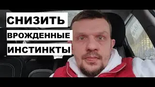 #РФLive Снизить врожденные инстинкты. Снизить примативность. Модель поведения | #МД Мужское движение