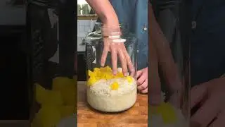 Korean Pineapple Makgeolli (rice wine/beer)