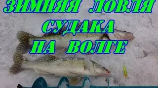Зимняя ловля судака на Волге.