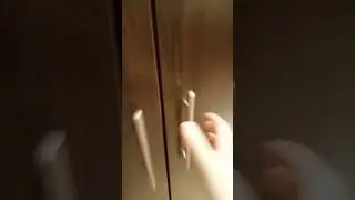 Ищем кота за 15 секунд!