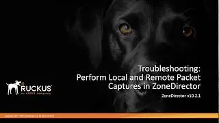 Troubleshooting ZoneDirector: Performing Packet Capture