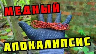 PLASTILIN. МЕДНЫЙ АПОКАЛИПСИС! ПОИСК МЕДИ И МЕТАЛЛОЛОМА НА ЗАБРОШКЕ В ЛЕСУ. КАК ЗАРАБОТАТЬ ДЕНЬГИ