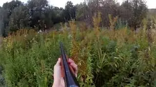 Осенняя охота на утку 2016