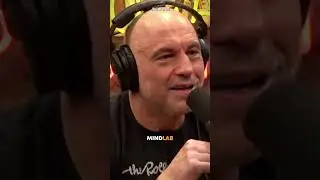 Joe Rogan Reacts To Hawaii Shark Attack😱