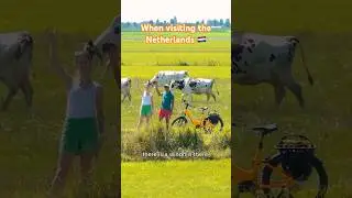 Travel the Netherlands! 🇳🇱 #travel #netherlands #visitholland #friesland