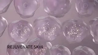 Y.O.U Biomecera Advanced Booster Serum | Y.O.U Beauty