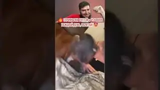 🤣УЛЬТРАЗВУК🔥#приколы2024 #юмор2024 #рофлы #приколыпроживотных