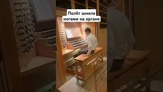 Полёт шмеля ногами на органе Московского Международного дома музыки 