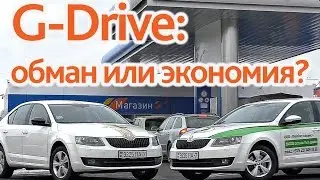 G-Drive: обман или экономия? Ищем экономию на двух одинаковых Skoda Octavia