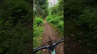 Sounds from mountain bike 🔊