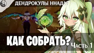 ВСЕ ДЕНДРОКУЛЫ - ЧАСТЬ 1 | СБОР ДЕНДРОКУЛОВ | МЕСТОПОЛОЖЕНИЕ ВСЕХ ДЕНДРОКУЛОВ | Genshin impact 3.0