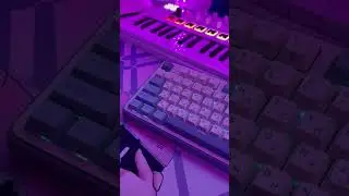 🦜 Попугай в CMD