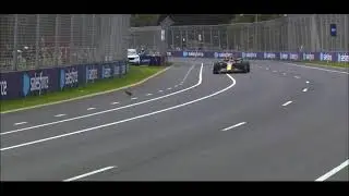 Max Verstappen almost hit a bird during qualifying | AUSTRALIAN GP 2023