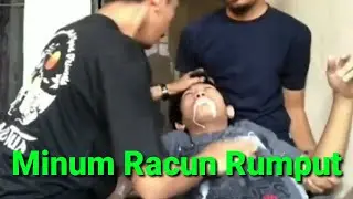 MINUM RACUN RUMPUT DEMI KONTEN