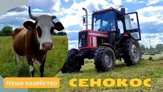 Начало СЕНОКОСА/Наше Хозяйство - коровы, телята, лошади/Деревенская жизнь Farmhouse Rimši🏡