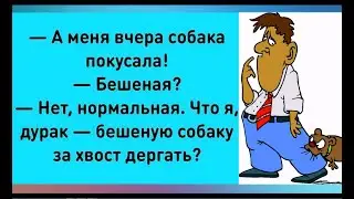 АЛЛО, это КЕКС по телефону? НЕТ, это ПОЛИЦИЯ! Ну,я Вам ЗАПЛАЧУ! ПРОДОЛЖАЙ ШАЛУН! Юмор на каждый день