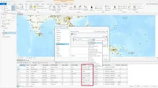 How to filter data in ArcGIS Pro with definition queries