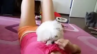 Shot on iPhone Meme #14 The Horny Puppy