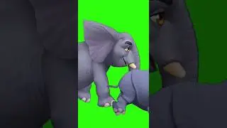 Animals walking ANIMATION green screen 