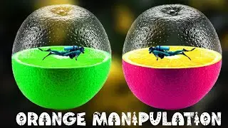 HOW TO DESIGN TRANSPARENT LEMON MANIPULATION TWI 2023 - PHOTOSHOP TUTORIALS