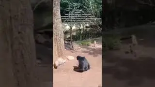АНЕКДОТ от президента 